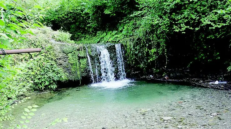 Il torrente Faidana, che dà nome alla località valgobbina, circondato da boschi