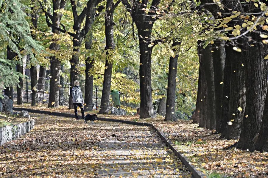 L'autunno in città