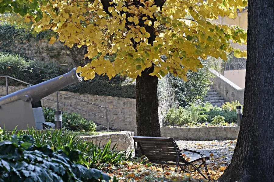 L'autunno in città