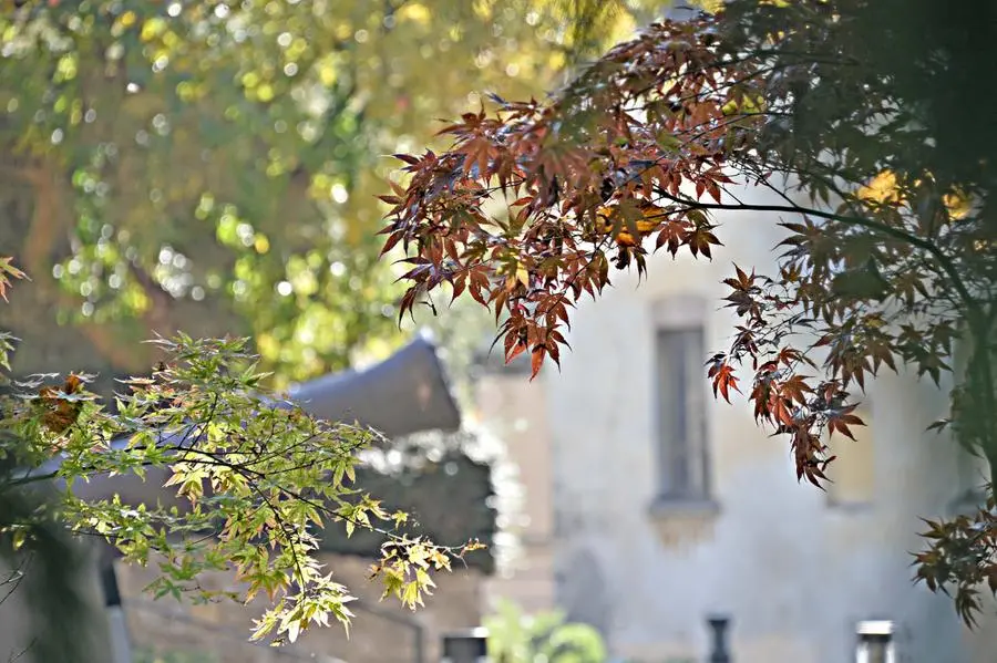 L'autunno in città