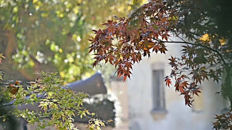 L'autunno in città