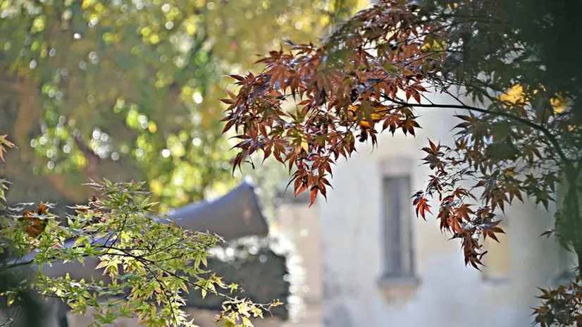 L'autunno in città