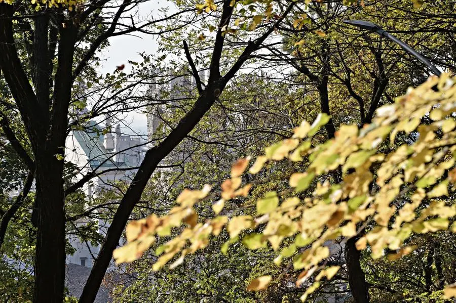 L'autunno in città