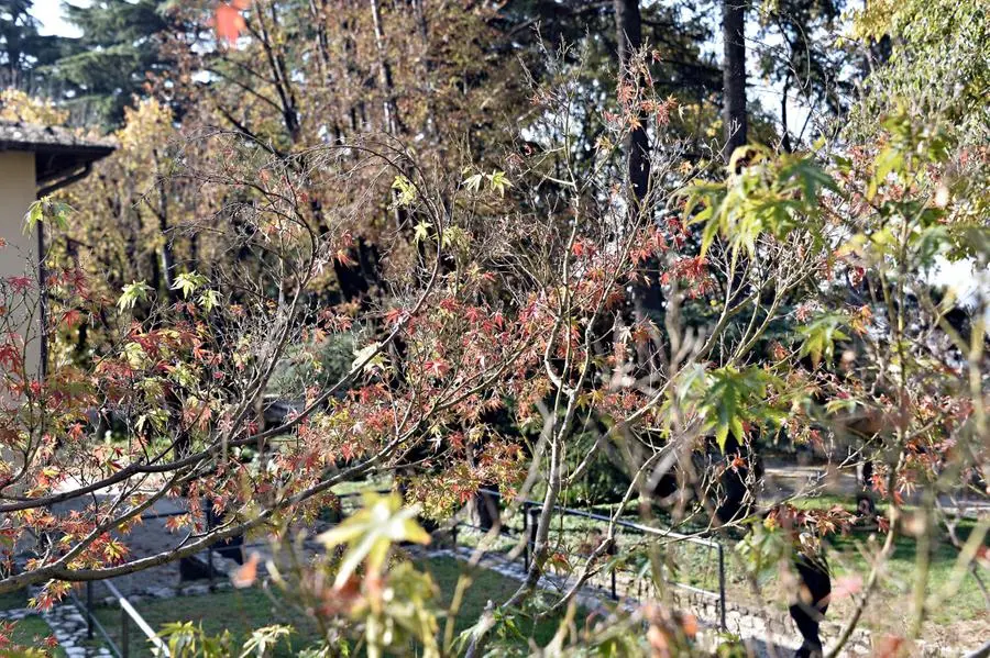 L'autunno in città