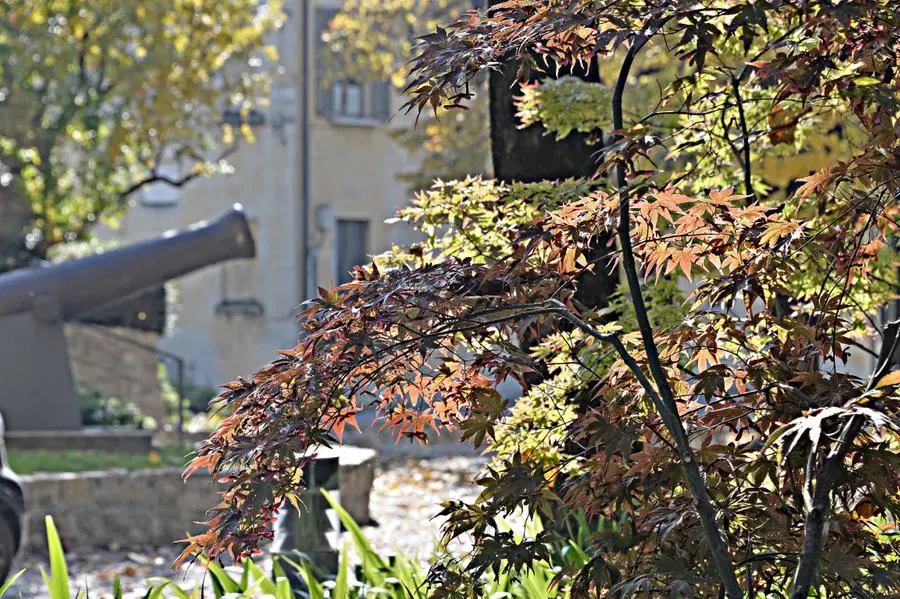 L'autunno in città