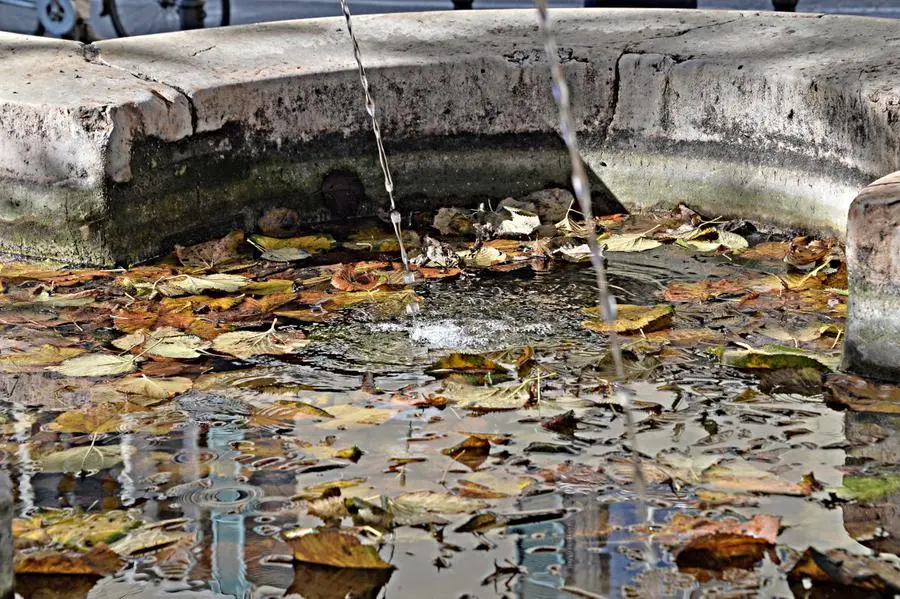 L'autunno in città