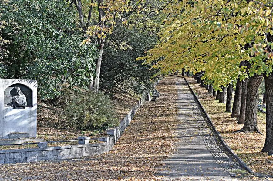 L'autunno in città