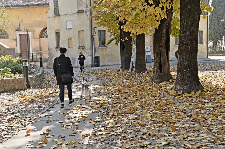 L'autunno in città