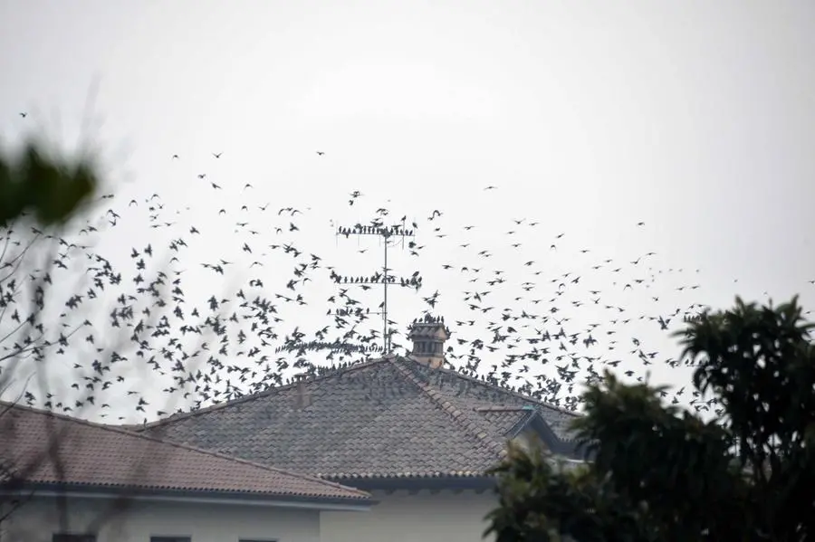 Storni a Corte Franca