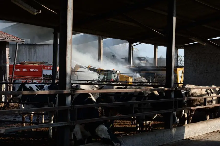 L'incendio del fienile a Gambara