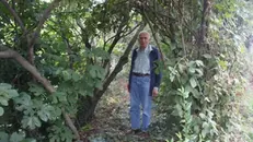 Onorio Belussi nella sua foresta
