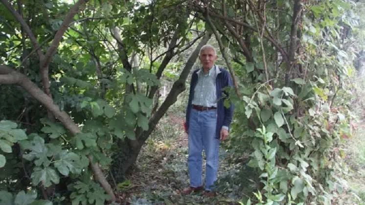 Onorio Belussi nella sua foresta