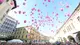 Race for the Cure 2016