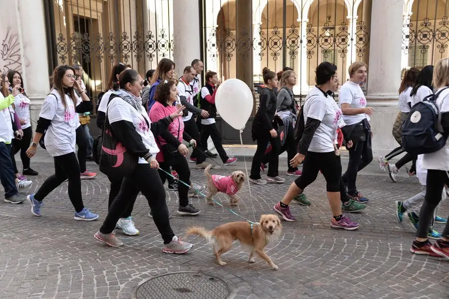 Race for the Cure 2016