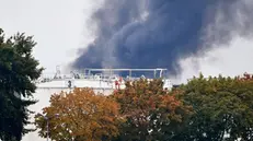Esplosione in due impianti chimici Basf