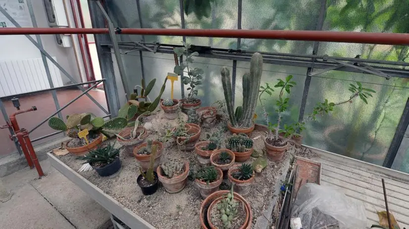 L'orto botanico di Toscolano