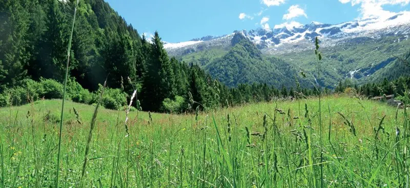 I più bei prati da sfalcio della Alta Valcamonica