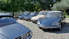 Il raduno marchiato Citroën