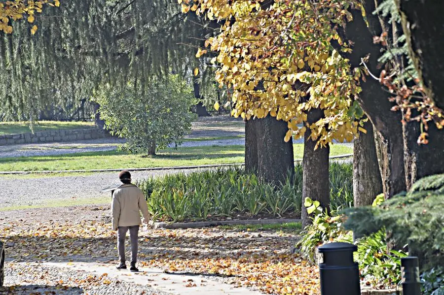 L'autunno in città