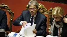 Il neopremier Paolo Gentiloni durante il voto al Senato - Foto Ansa © www.giornaledibrescia.it