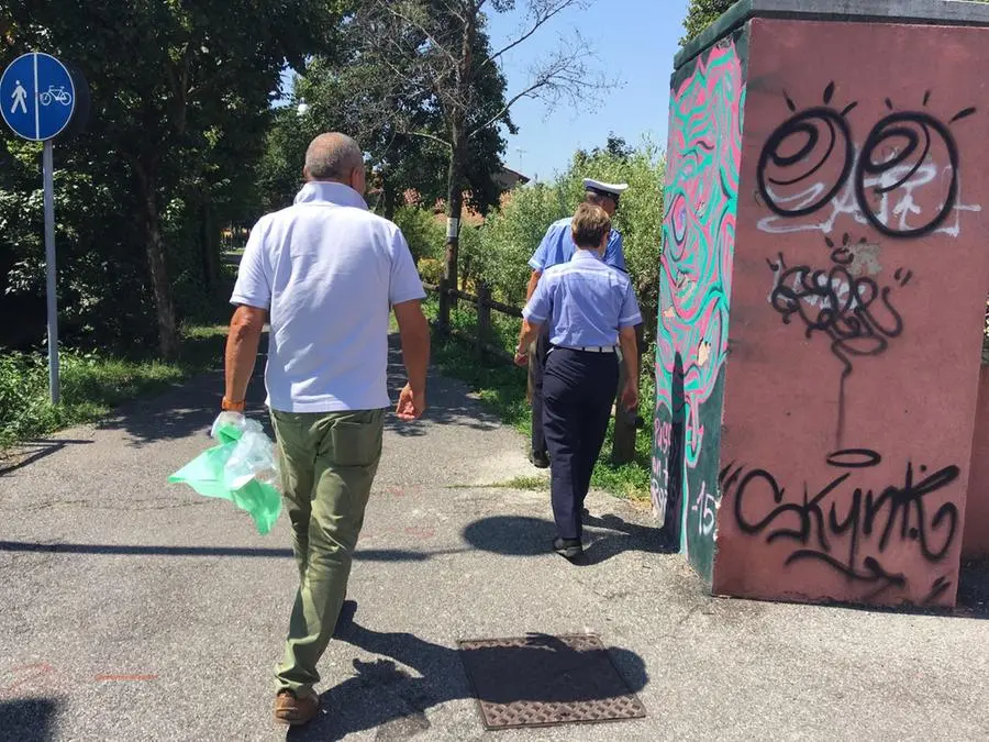 Moria di pesci di Manerbio