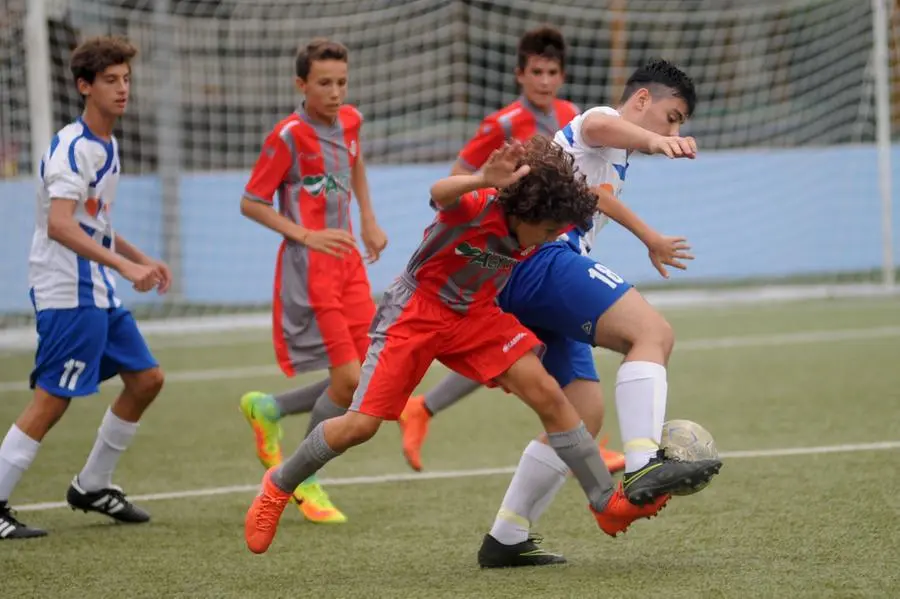 Giovanissimi, Trofeo Beppe romano