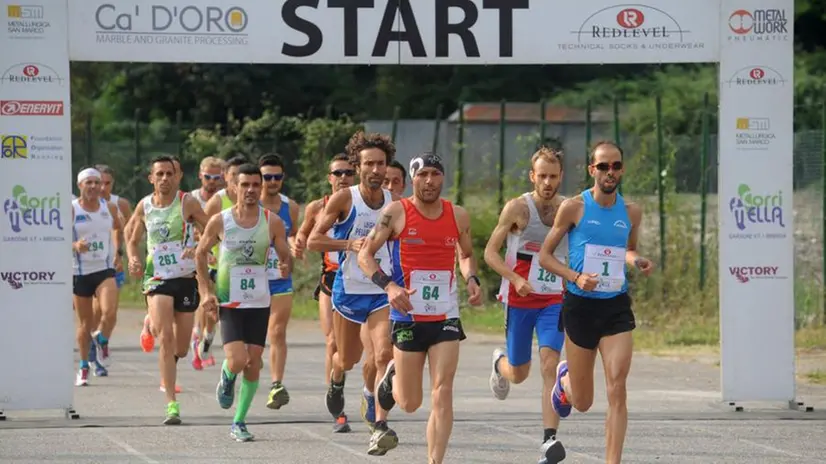 La scorrimella 2016