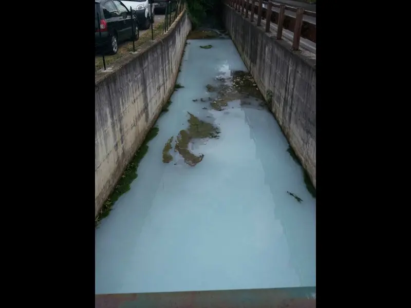 Il liquido bianco nel torrente La Canale