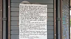 La "cartolina" di Antonella sulla propria edicola