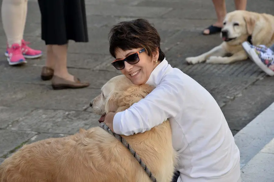 San Francesco, un centinaio gli animali alla benedizione