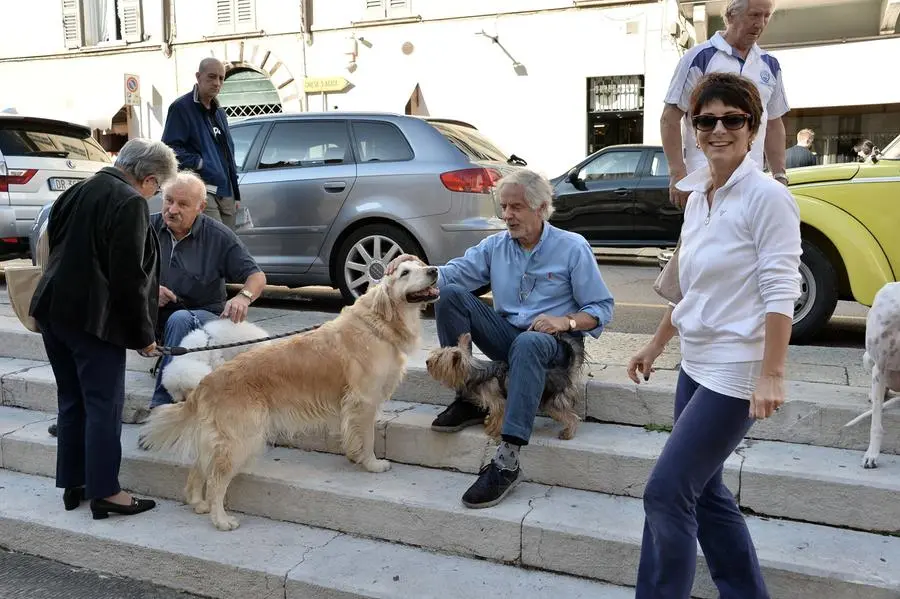 San Francesco, un centinaio gli animali alla benedizione