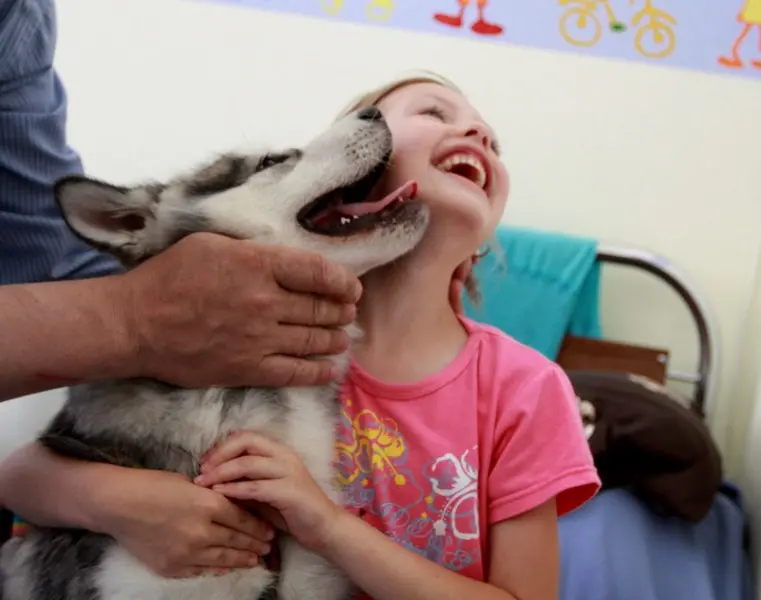 Cani e gatti: un'app a misura di padrone