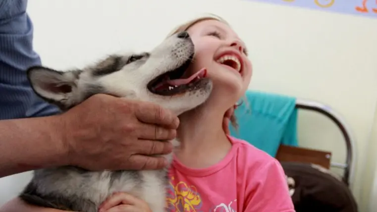 Cani e gatti: un'app a misura di padrone