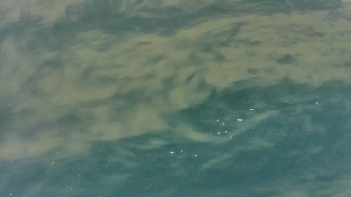 Le macchie avvistate nel lago d'Iseo