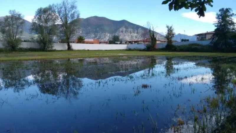 L'area interessata dal cantiere dista solo 200 metri dalla riserva delle torbiere