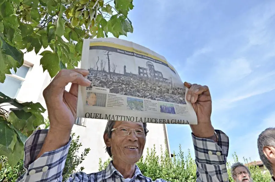 Gli alberi di Hiroshima e Nagasaki