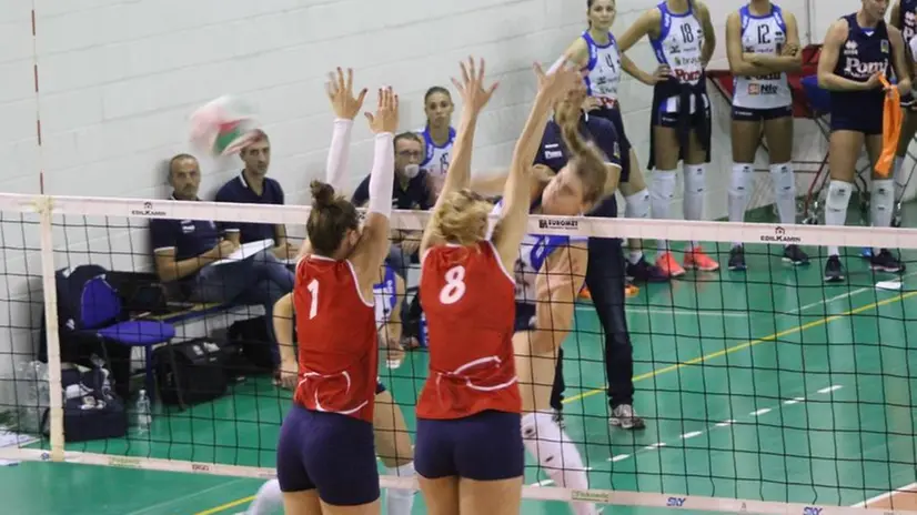 Metalleghe in campo a Ostiano