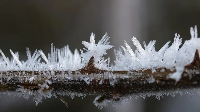 Cristalli di brina fotografati a Mompiano domenica mattina