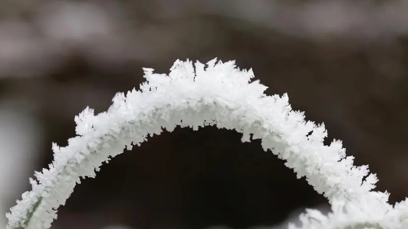 Cristalli di brina fotografati domenica mattina a Mompiano