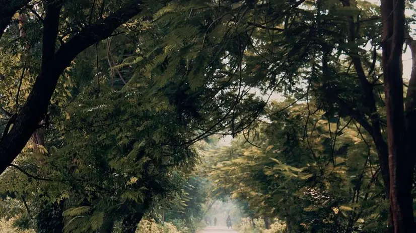 Una bicicletta su strada sterrata - Foto Unsplash