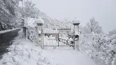 La nevicata del 19 gennaio 2023 sul monte Maddalena
