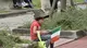 Adunata sezione alpini di Brescia