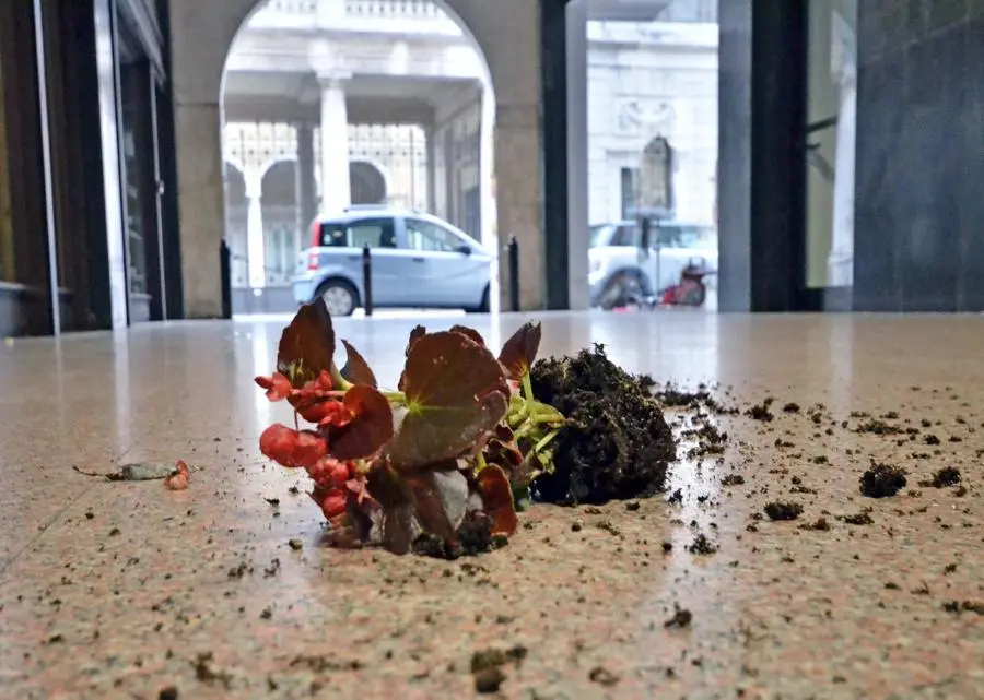 Il raid vandalico in corso Magenta