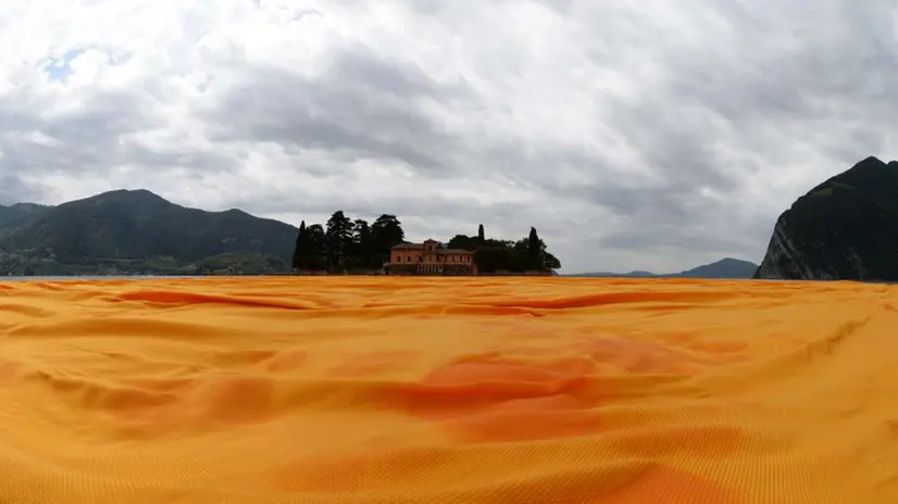 Un sogno giallo dalia nelle acque del Sebino