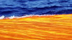 Oro, arancio e blu: suggestioni cromatiche a The Floating Piers