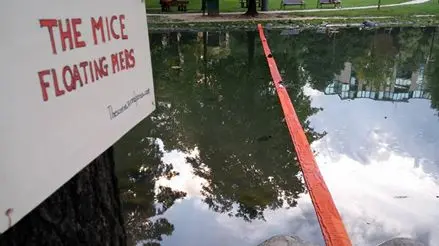 The Mice Floating Piers, l'opera di Simona Bresciani al Ducos