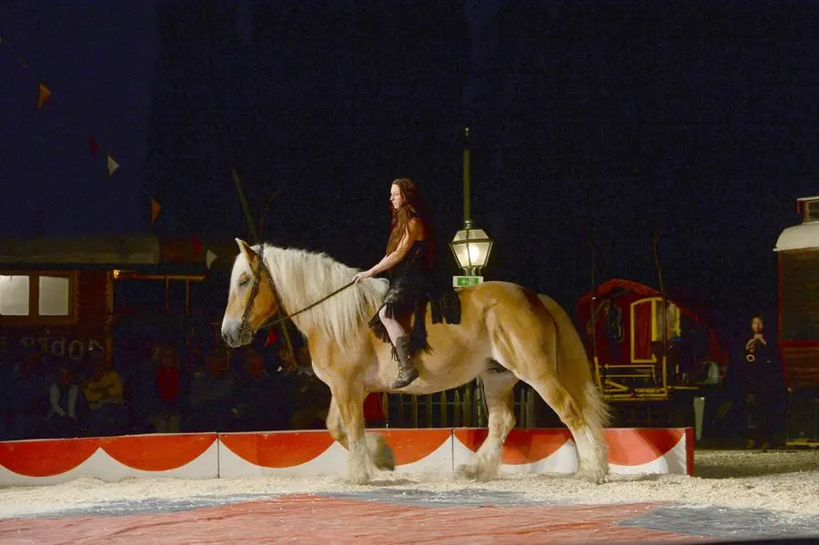 La magia del Cirque Bidon