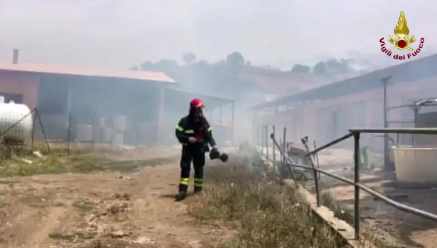 Incendi nel palermitano