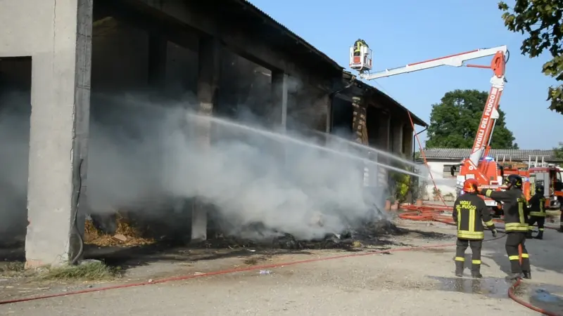 Incendio in cascina, morte 50 mucche