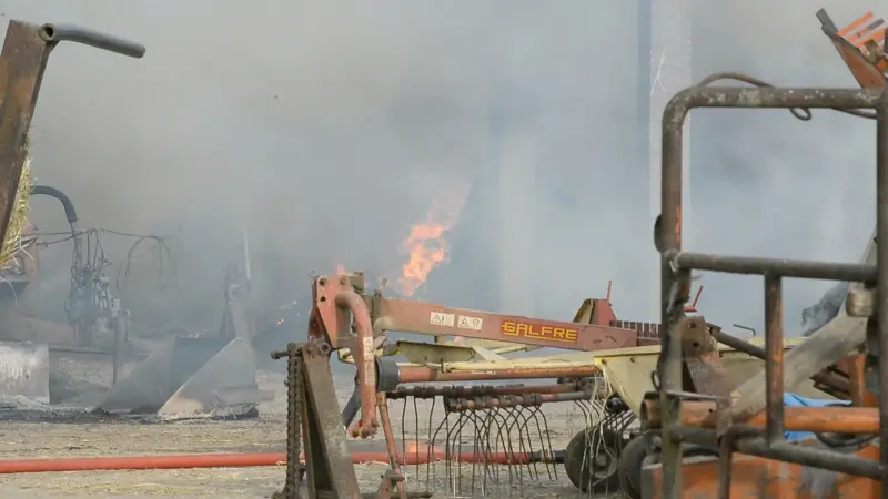 Incendio in cascina, morte 50 mucche